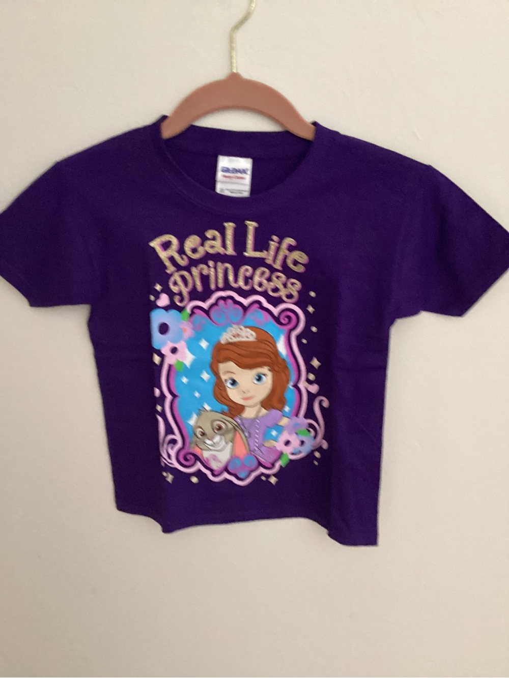 Gildan Purple 'Real Life Princess' Short Sleeve Tee with Gold Accents